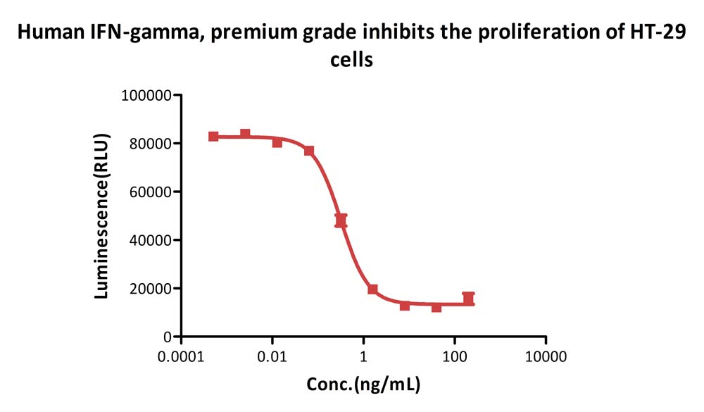 IFN-gamma CELL