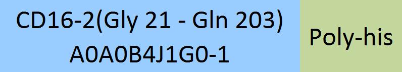 Online(Gly 21 - Gln 203) A0A0B4J1G0-1