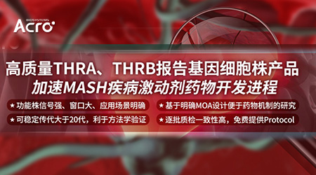 【新品上市】THRB, THRA报告基因细胞株：助力蓝海疾病MASH激动剂开发