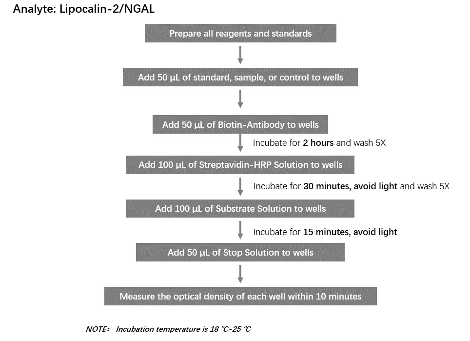 Lipocalin-2/NGAL Workflow