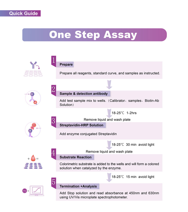 EPO Assay Principles