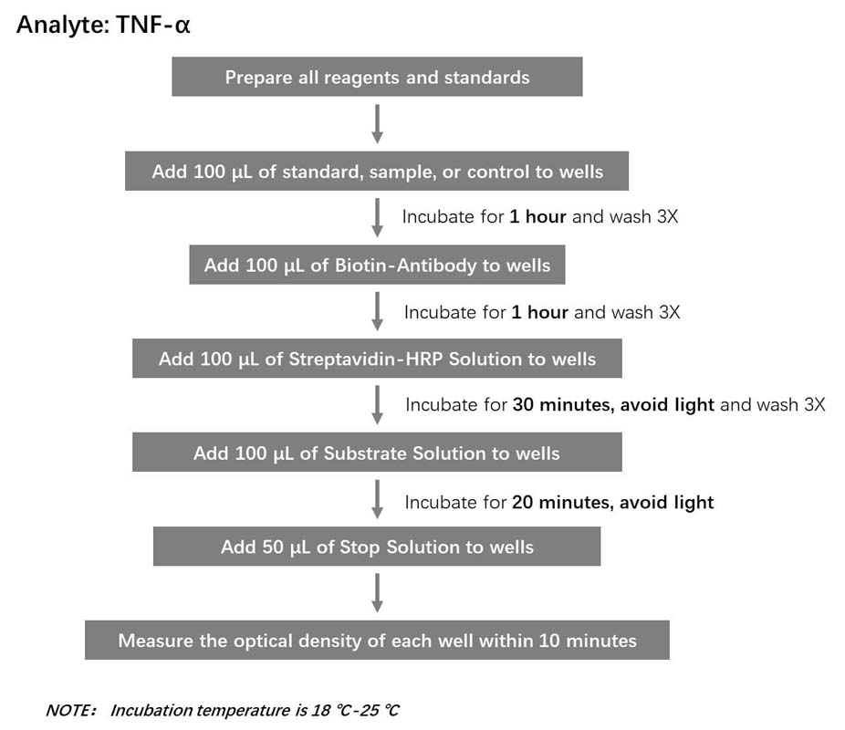 TNF-alpha Workflow