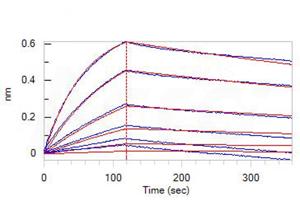 Fusion glycoprotein BLI