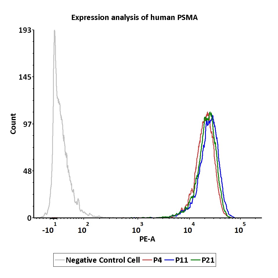 PSMA PASSAGE