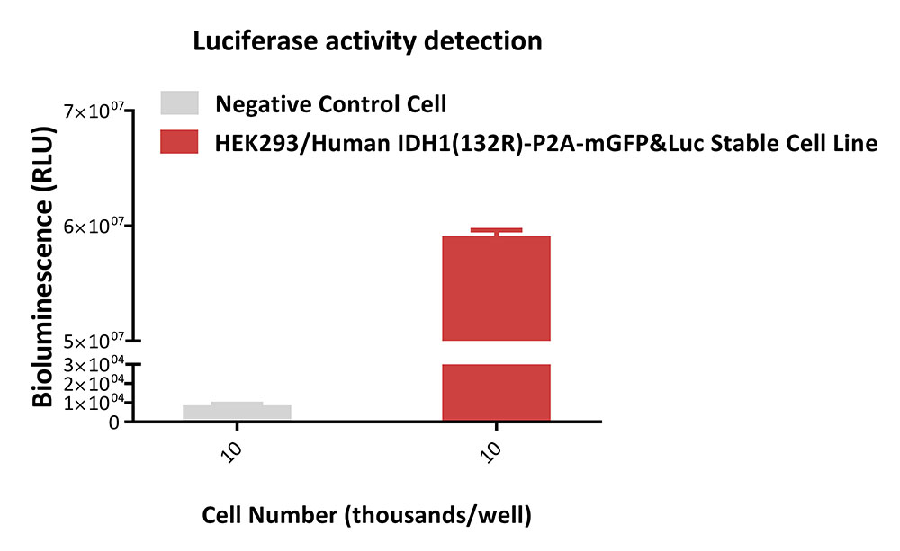 IDH1(132R)-P2A-mGFP&Luc APPLICATION