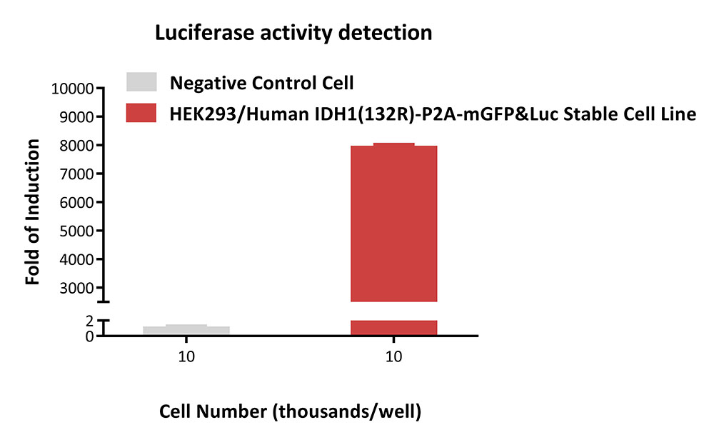 IDH1(132R)-P2A-mGFP&Luc APPLICATION