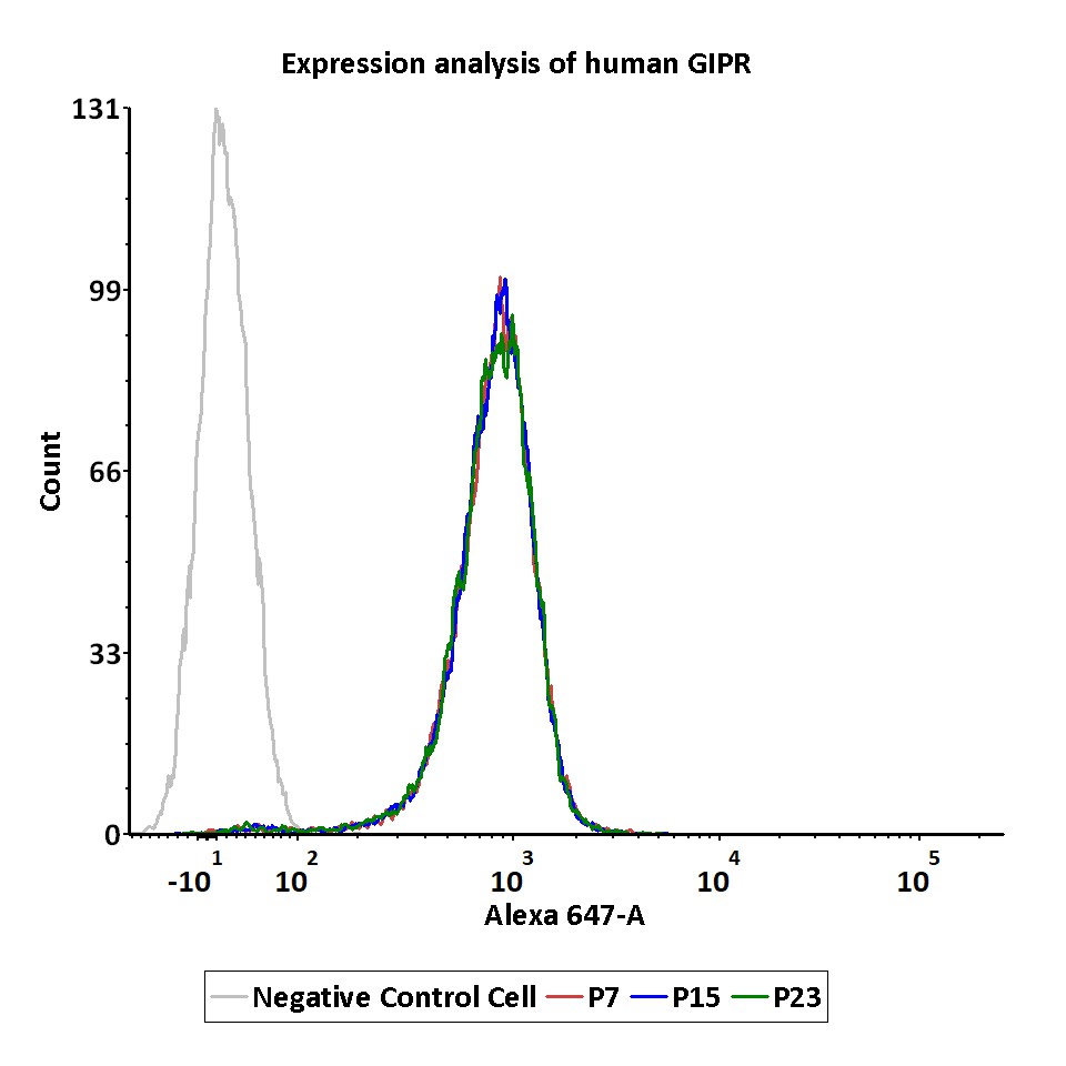 GIPR PASSAGE