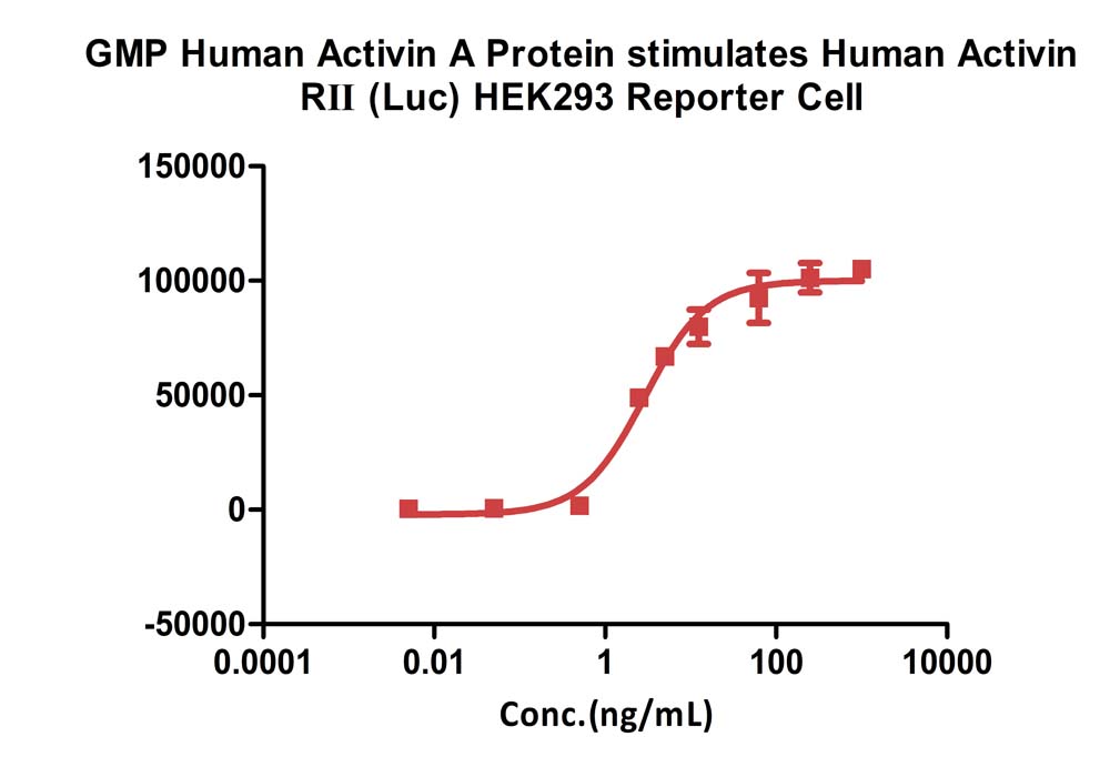 Activin A CELL