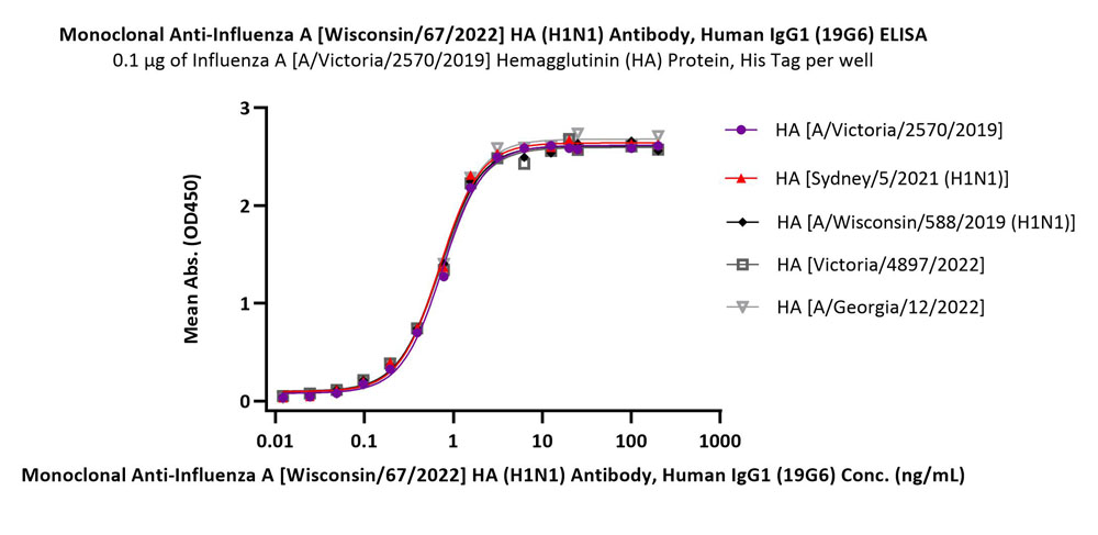 Hemagglutinin/HA (Influenza Virus) ELISA