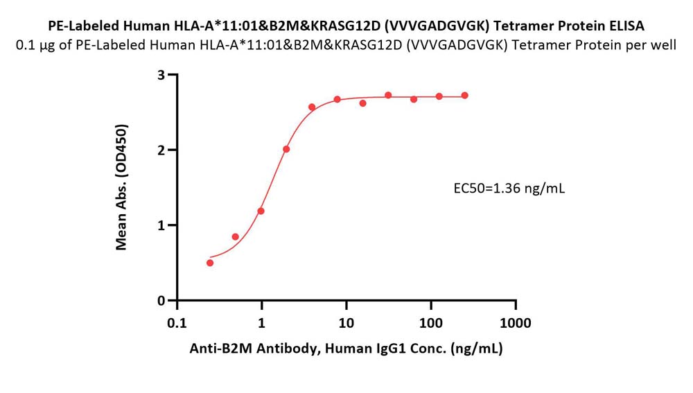 HLA-A*1101 & B2M & KRASG12D (VVVGADGVGK) ELISA