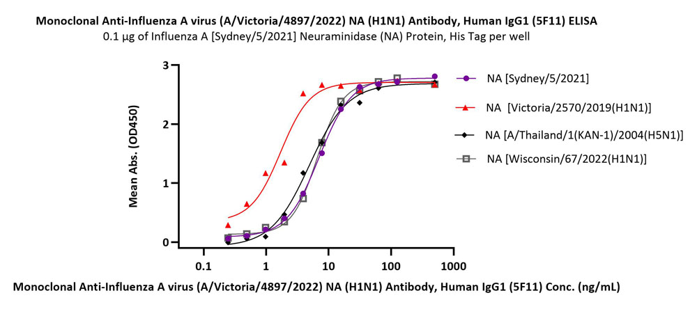 Neuraminidase/NA (Influenza Virus) ELISA