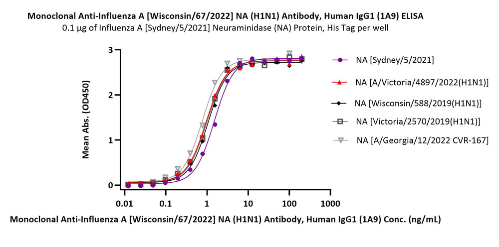 Neuraminidase/NA (Influenza Virus) ELISA