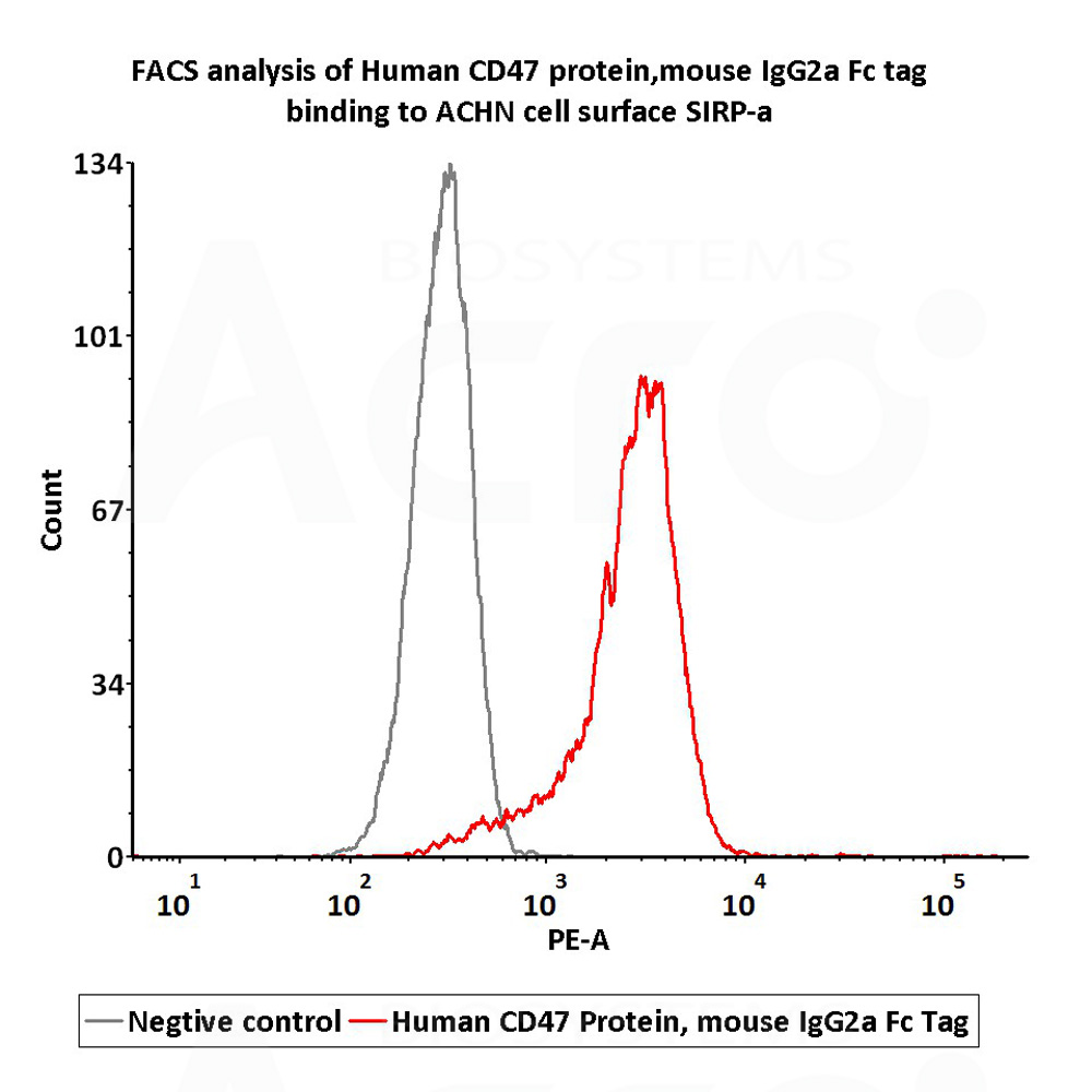 CD47 FACS