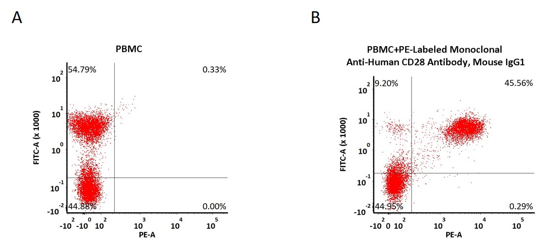 CD28 FACS