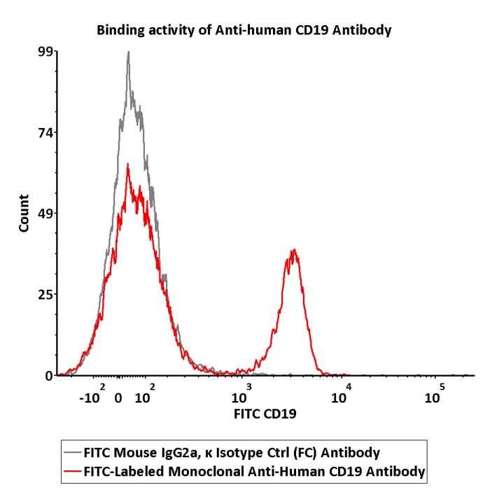 CD19 FACS