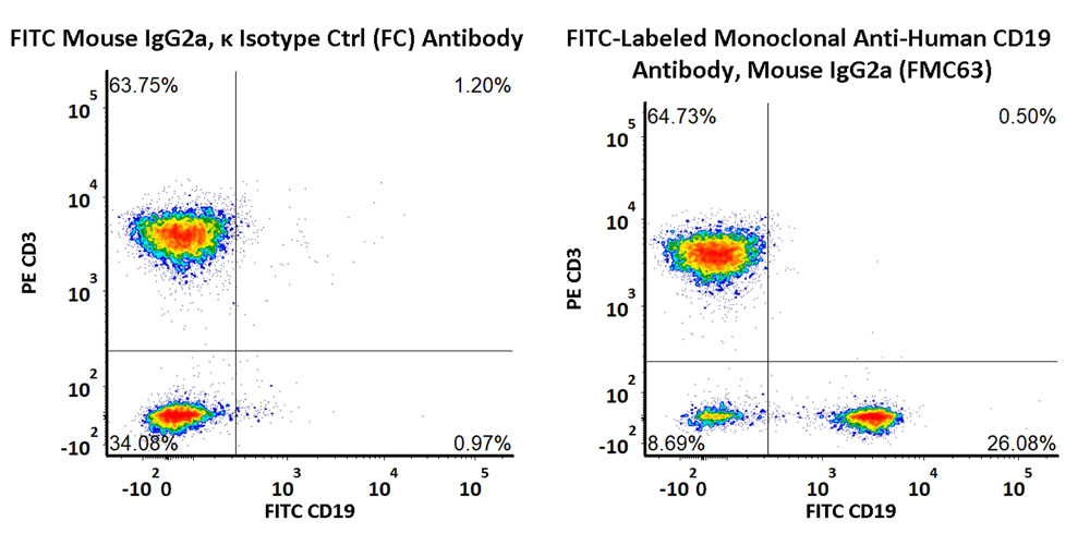 CD19 FACS