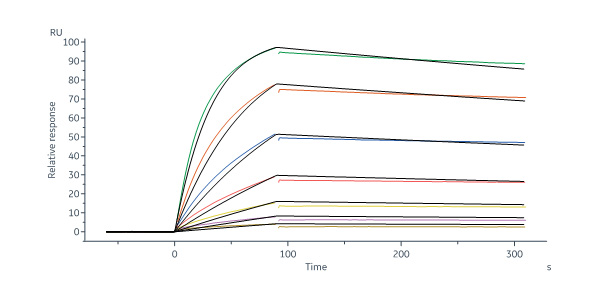 CD3 epsilon SPR