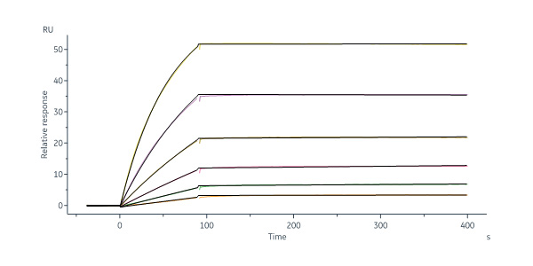 Glycoprotein G/G protein (RSV) SPR