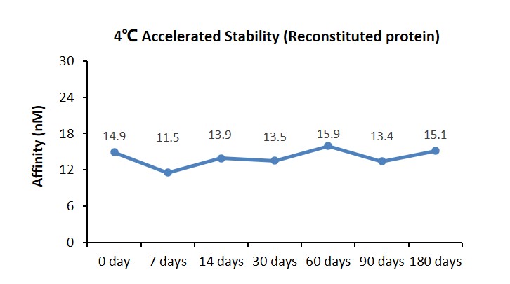 DLL4 STABILITY