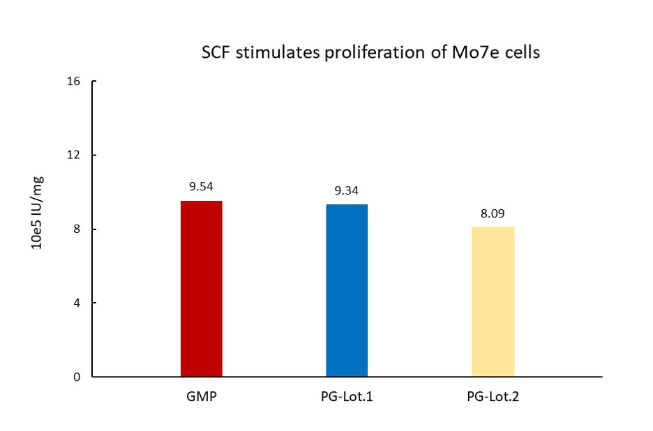 SCF STABILITY