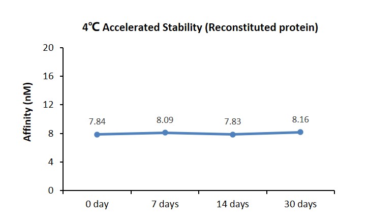 VCAM-1 STABILITY