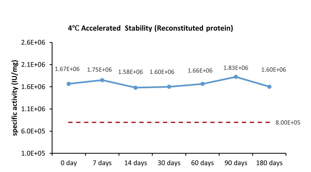 VEGF165 STABILITY