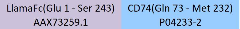 CD74 Structure