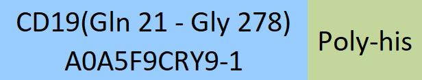 Online(Gln 21 - Gly 278) A0A5F9CRY9-1