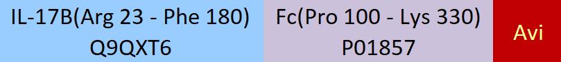 IL-17B Structure