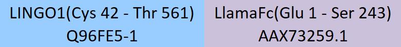 LINGO1 Structure