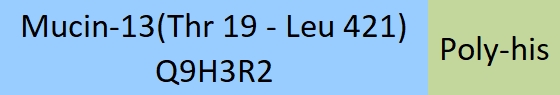 Mucin-13 Structure