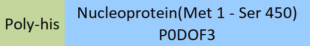 Nucleoprotein/NP (RABV) Structure