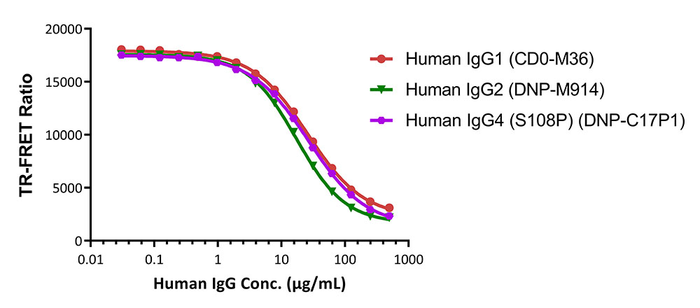 FcRn (FCGRT & B2M) TR-FRET