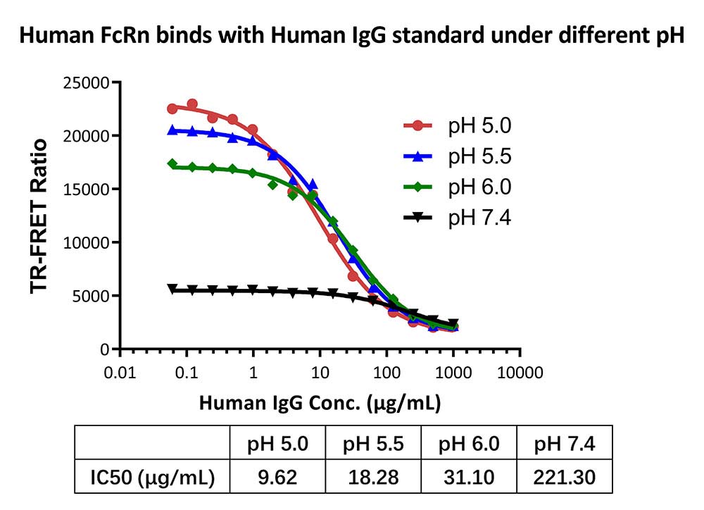 FcRn (FCGRT & B2M) TR-FRET