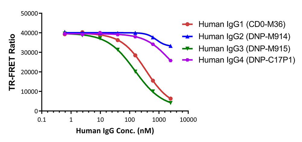 Fc gamma RIIIA / CD16a TR-FRET