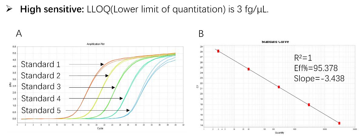 DNA TYPICAL DATA