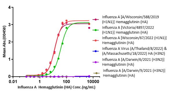 Hemagglutinin (HA) TYPICAL DATA