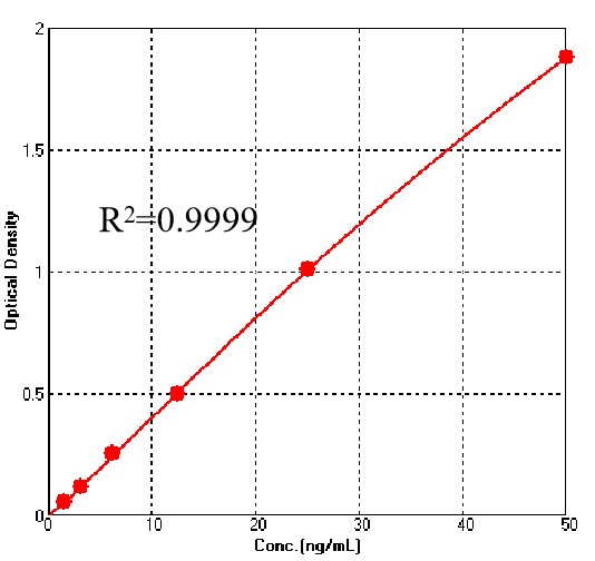 L1 TYPICAL DATA