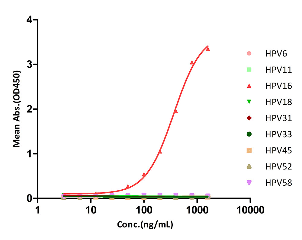 L1 TYPICAL DATA