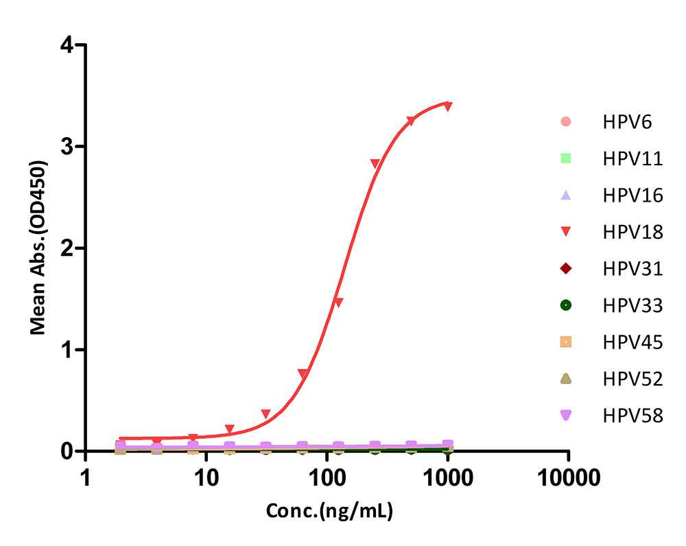 L1 TYPICAL DATA