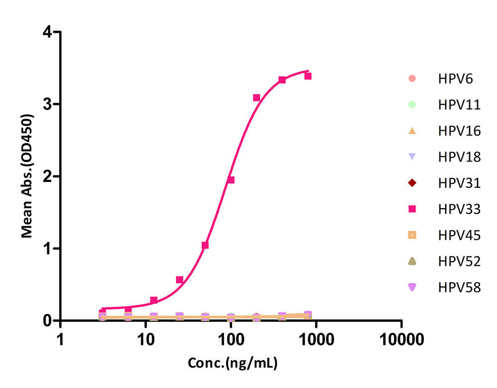 L1 TYPICAL DATA