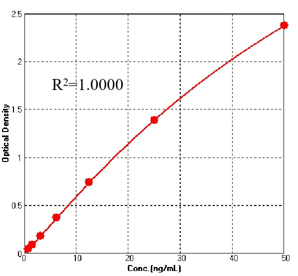 L1 TYPICAL DATA