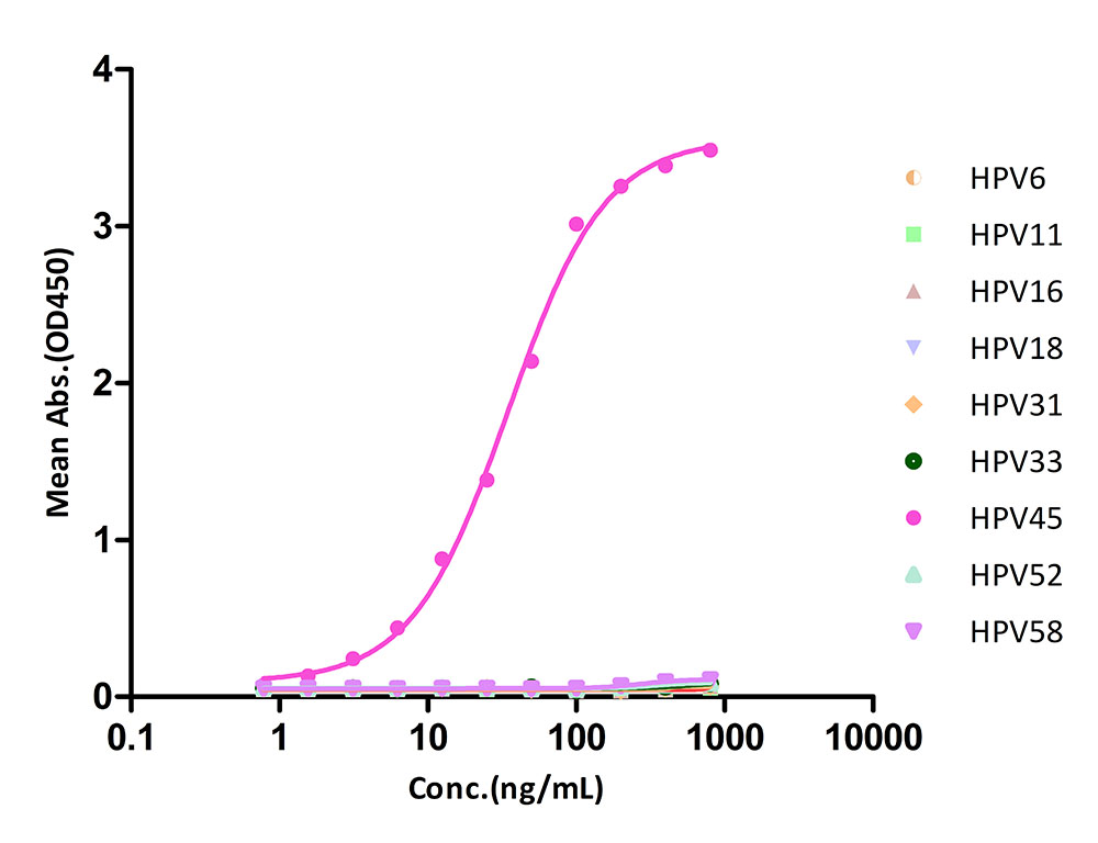 L1 TYPICAL DATA