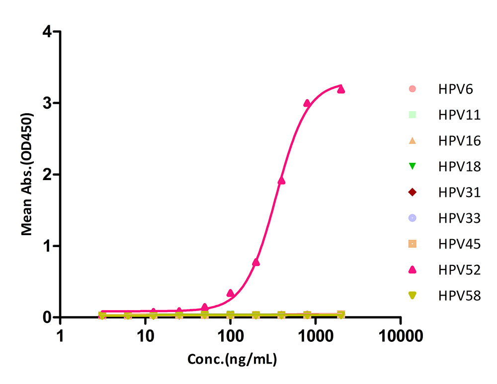 L1 TYPICAL DATA