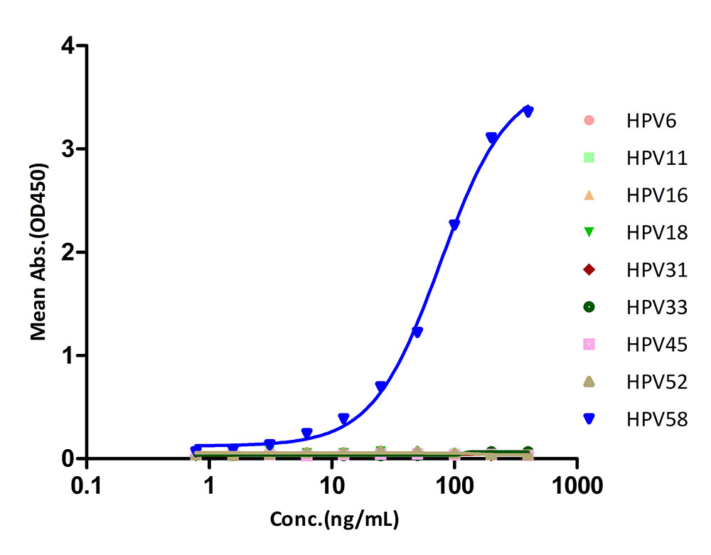 L1 TYPICAL DATA