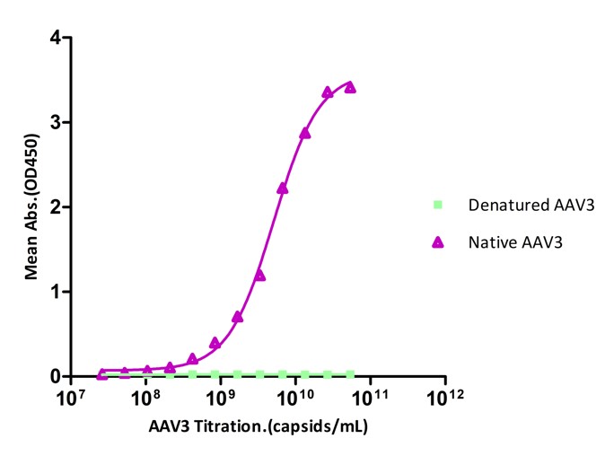 AAV3 SPECIFICITY