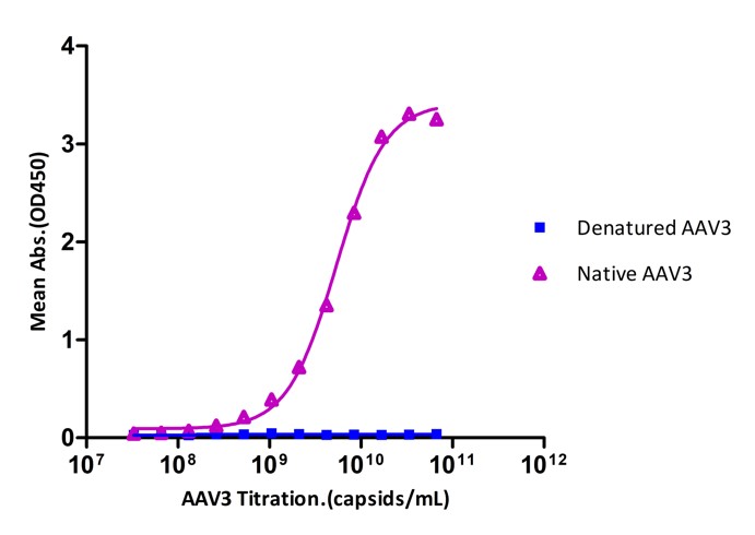 AAV3 SPECIFICITY