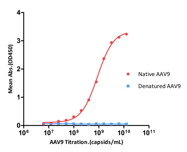 AAV9 SPECIFICITY