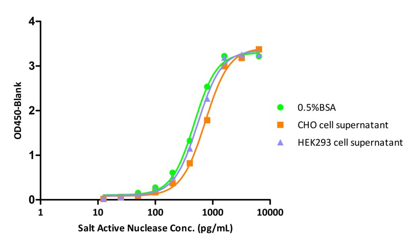 Nuclease INTERFERENCE EFFECT