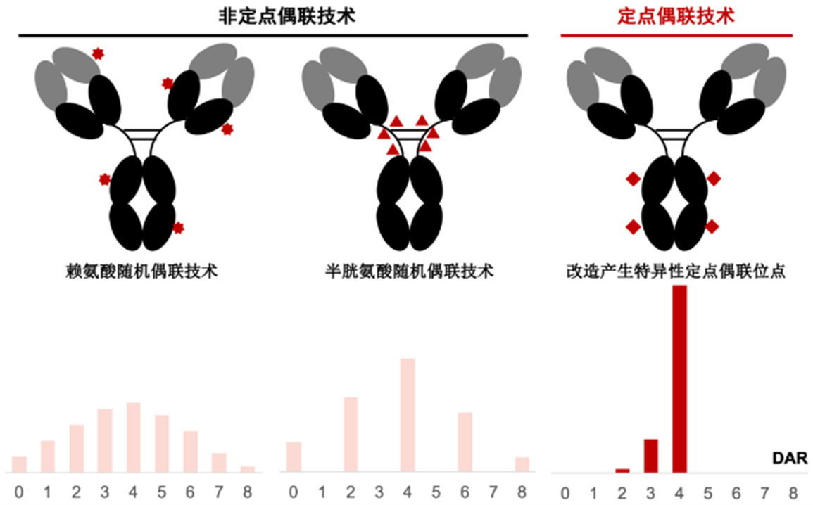 AGLink®定点偶联试剂盒